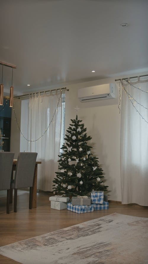 有关兄弟姐妹, 在家, 垂直视频的免费素材视频