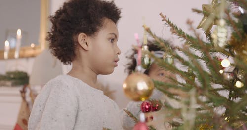 孩子们装饰圣诞树 · 免费素材视频