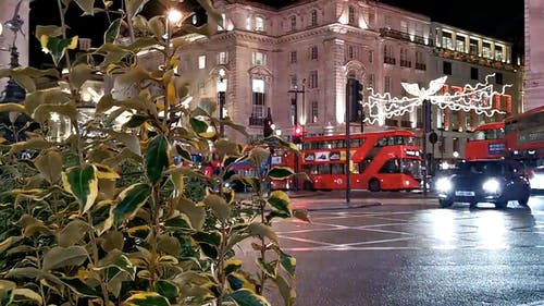 有关人, 伦敦巴士, 圣诞季节的免费素材视频