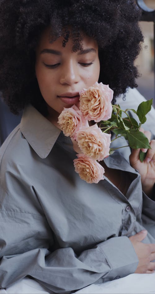 有关マオナバリガ, 一束玫瑰, 产假拍摄的免费素材视频
