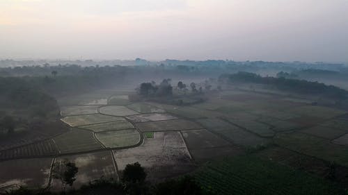 有关4k, 农业用地, 动态射击的免费素材视频