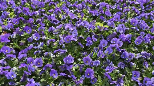 有关城市, 城镇, 市中心的免费素材视频