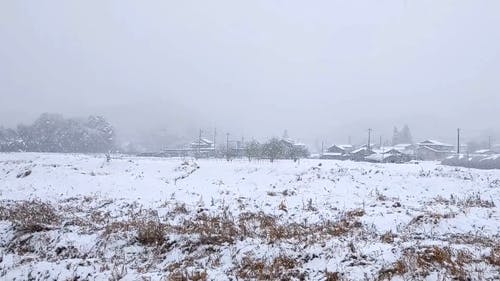 有关下雪, 下雪的, 冬季的免费素材视频