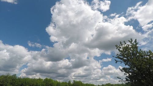 有关4k, 天性, 天空的免费素材视频