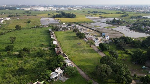 有关农村的场景, 增长, 户外的免费素材视频