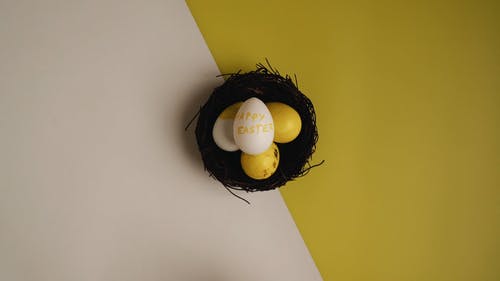 有关上漆的, 巢, 复活节的免费素材视频