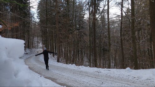 有关下雪的天气, 人类最好的朋友, 冬季的免费素材视频