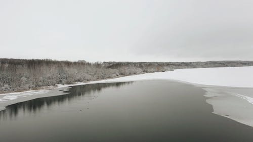 有关下雪的, 公园, 冬季的免费素材视频