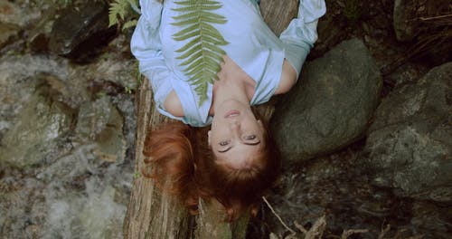 有关俯视图, 和平的, 天性的免费素材视频