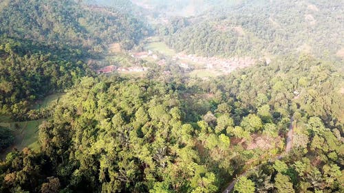 有关农业用地, 城镇, 天性的免费素材视频