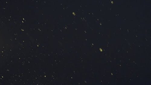 有关下雪, 下雪的, 固定镜头的免费素材视频