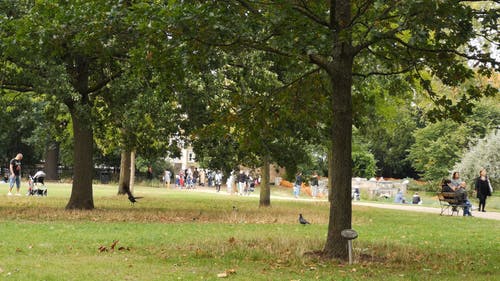 有关4k, 人, 人群的免费素材视频