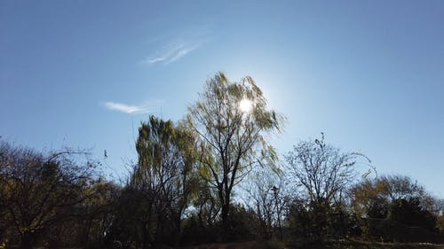 有关天性, 天空, 太阳的免费素材视频