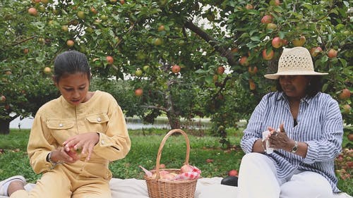 妇女擦干净新鲜采摘的苹果果实 · 免费素材视频