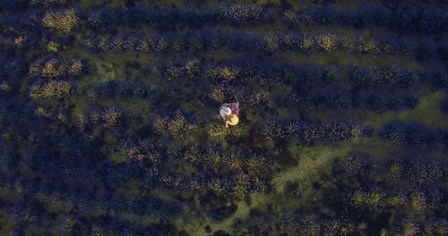 有关人, 休闲, 俯视图的免费素材视频