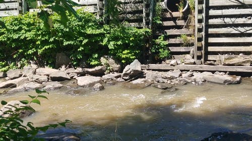 有关不清楚, 天性, 户外的免费素材视频