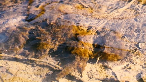 有关慢动作, 水, 水浪的免费素材视频