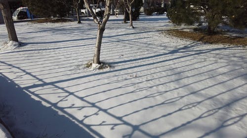 有关冬季, 冷, 冷冻的免费素材视频