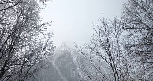 有关下雪的天气, 冬季, 冷的免费素材视频