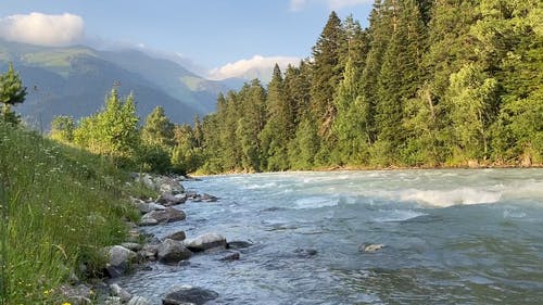 有关丛林, 天性, 急流的免费素材视频