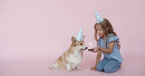 有关儿童, 动物, 可爱的免费素材视频