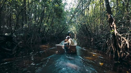 有关天性, 安静, 户外的免费素材视频