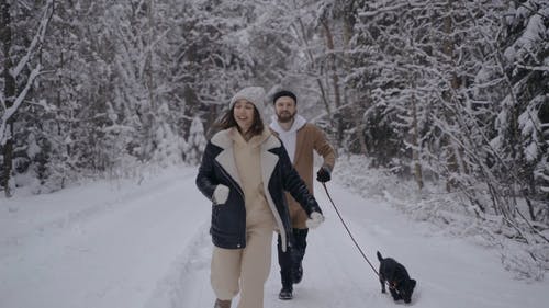 有关一对, 下雪, 人的免费素材视频