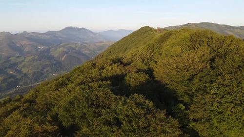 有关天性, 山, 森林的免费素材视频