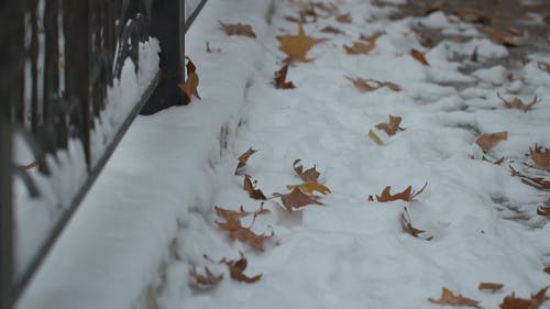 有关@户外, 人, 人行道的免费素材视频