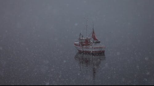 有关下雪, 下雪的天气, 冷的免费素材视频