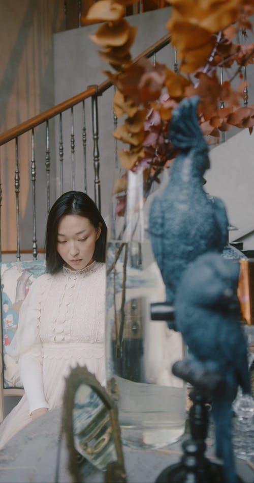 有关facebook的故事, instagram故事, youtube故事的免费素材视频