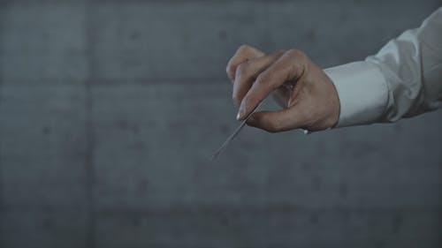 有关人, 个性, 优雅的免费素材视频