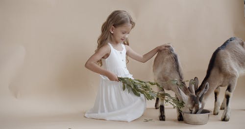 有关儿童, 动物, 吃的免费素材视频