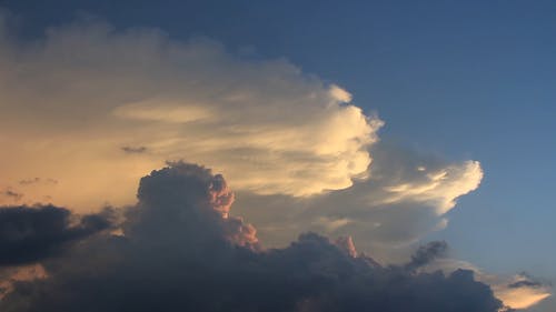 有关birds_flying, 多云的, 天性的免费素材视频