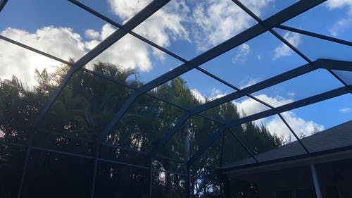有关低角度视图, 天性, 天空的免费素材视频