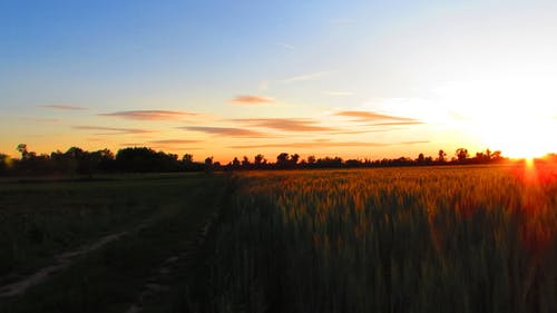 有关天空, 太阳, 平移拍摄的免费素材视频