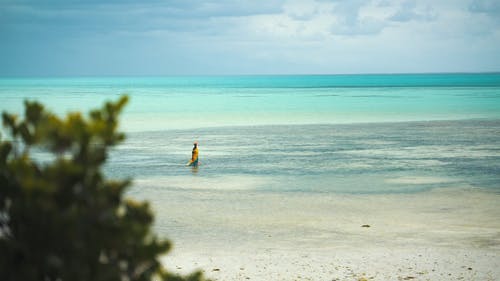 有关夏天, 天堂, 岛的免费素材视频
