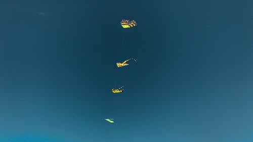 有关休闲, 低角度视图, 娱乐的免费素材视频