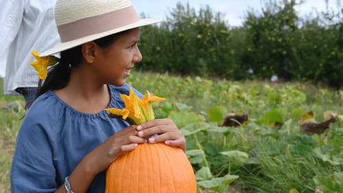 一个年轻的女孩，抱着新鲜的南瓜与花 · 免费素材视频