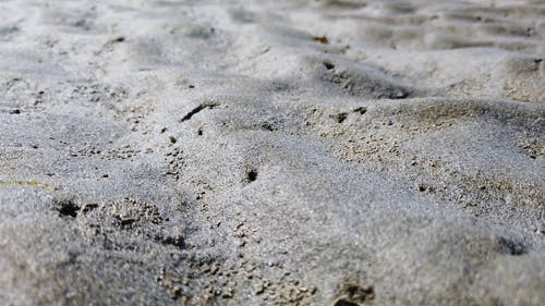 有关土, 地面, 天性的免费素材视频