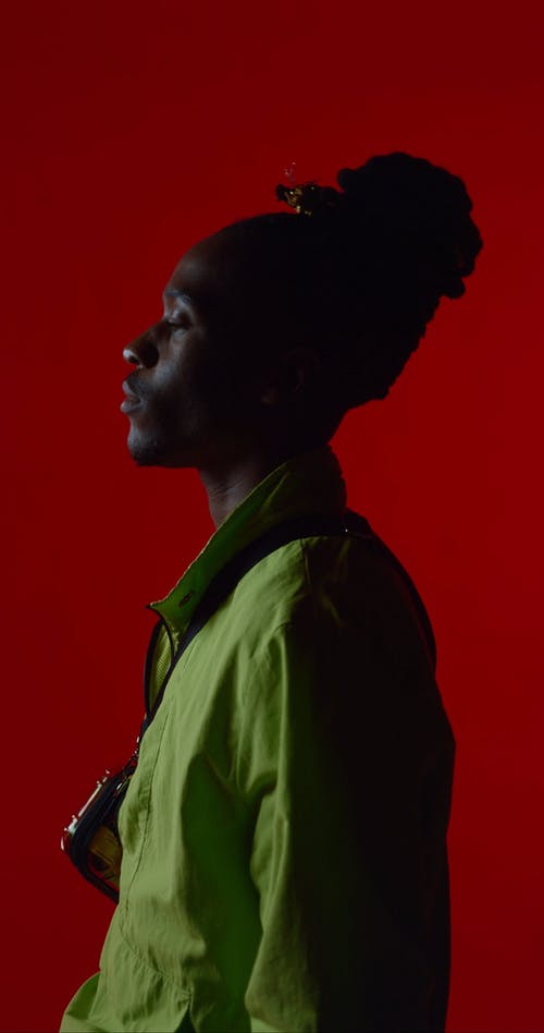 有关垂直视频, 摆姿势, 看着相机的免费素材视频