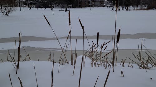 有关冬天的背景, 冬季景观, 冰冻的河的免费素材视频