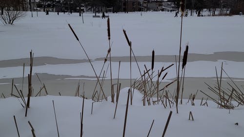 有关冬天的背景, 冬季景观, 冰冻的河的免费素材视频