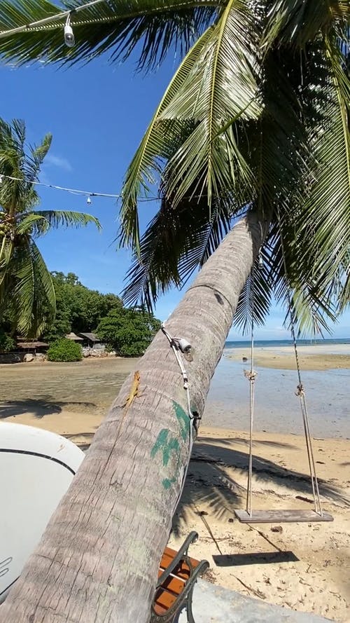 有关亚洲, 低潮, 动态射击的免费素材视频