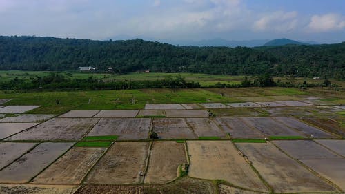 有关农业用地, 印尼, 天性的免费素材视频