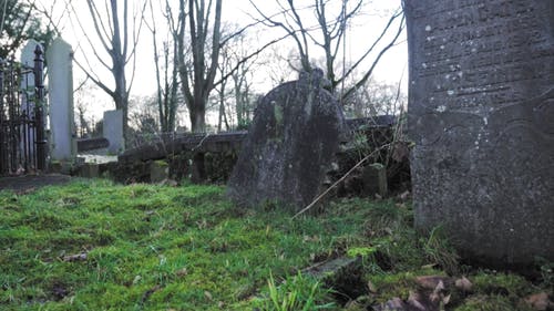 有关和平, 墓园, 墓碑的免费素材视频