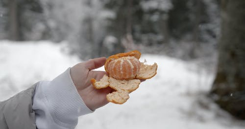 有关下雪的, 人, 冬季的免费素材视频
