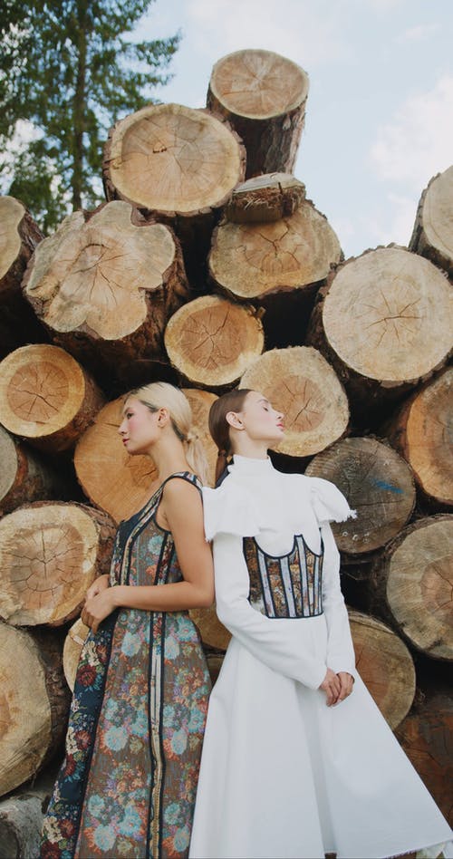 有关光鲜亮丽, 原本, 多样化的免费素材视频