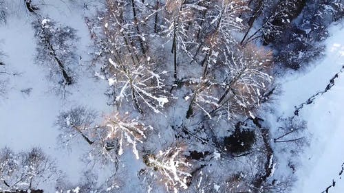 有关冬季, 冬季景观, 大雪覆盖的免费素材视频