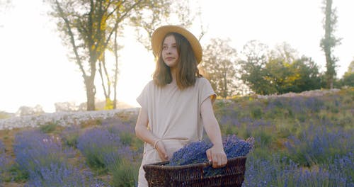 有关人, 天性, 太阳的免费素材视频